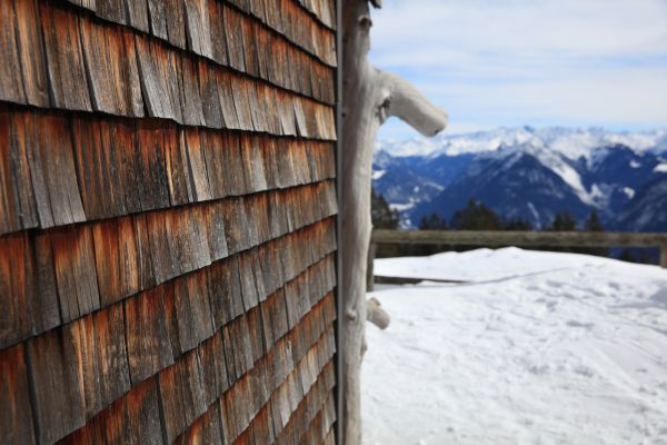 Cedar Siding Repair in Glenview