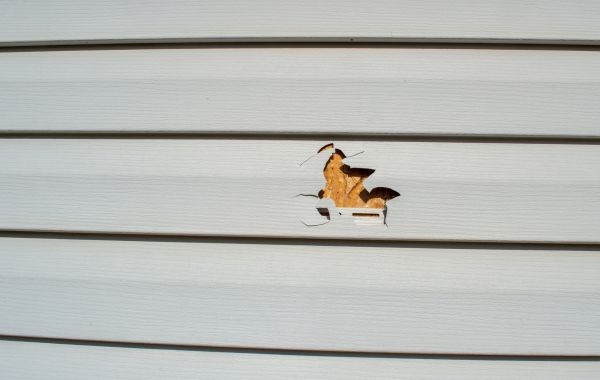 Siding Hole Repair in Glenview